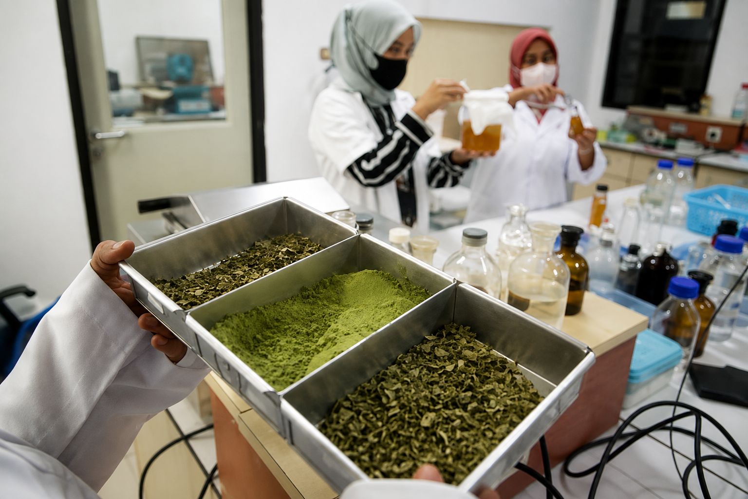 How to Choose Premium Quality Moringa Powder?